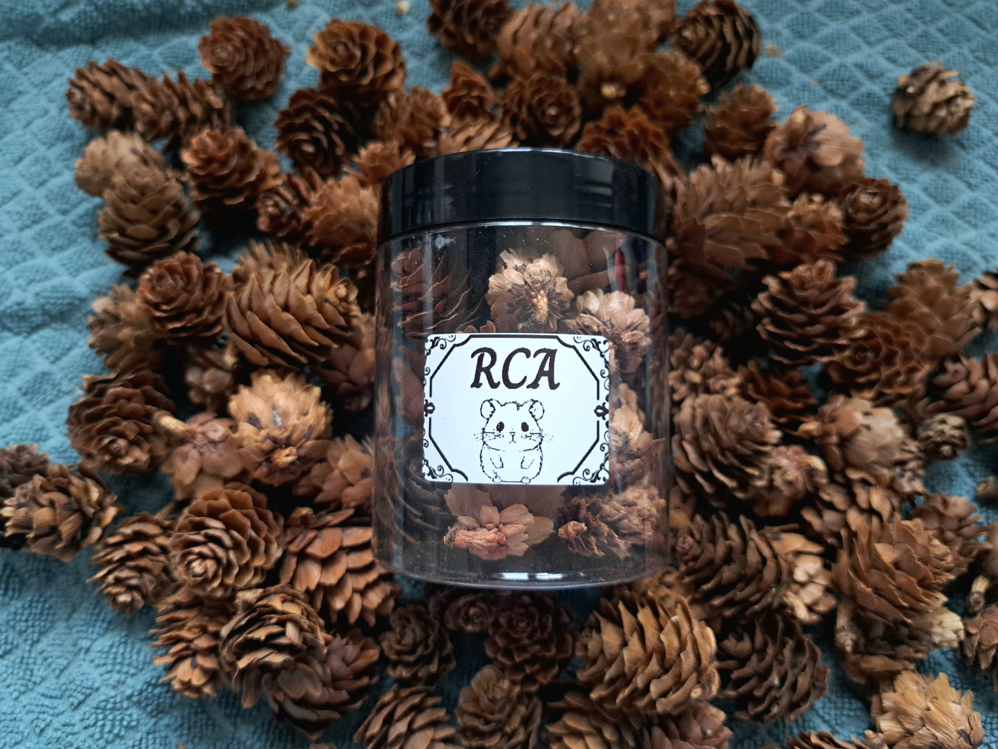 Small Pine cones