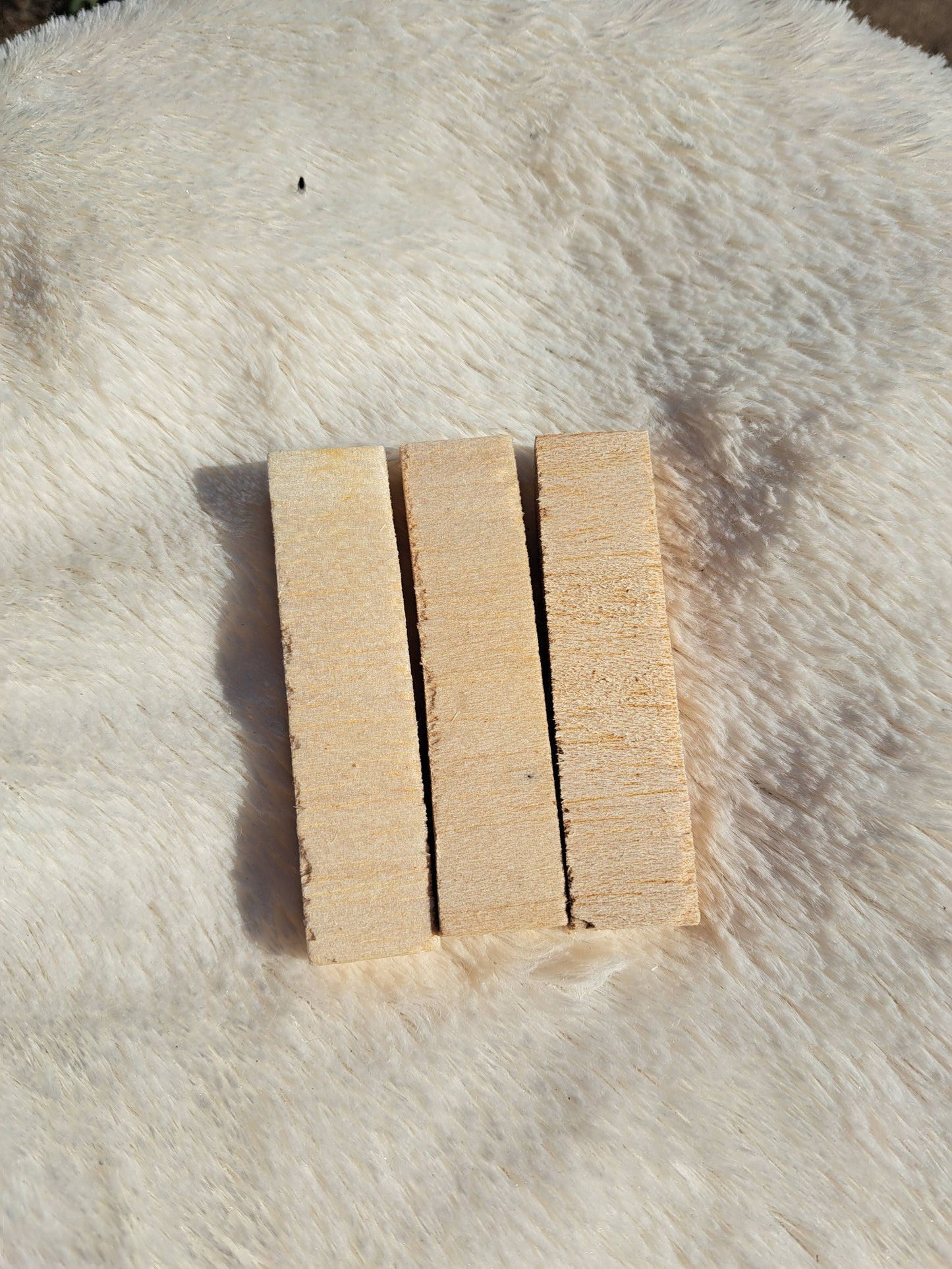 Banana & Carrot Balsa Chew