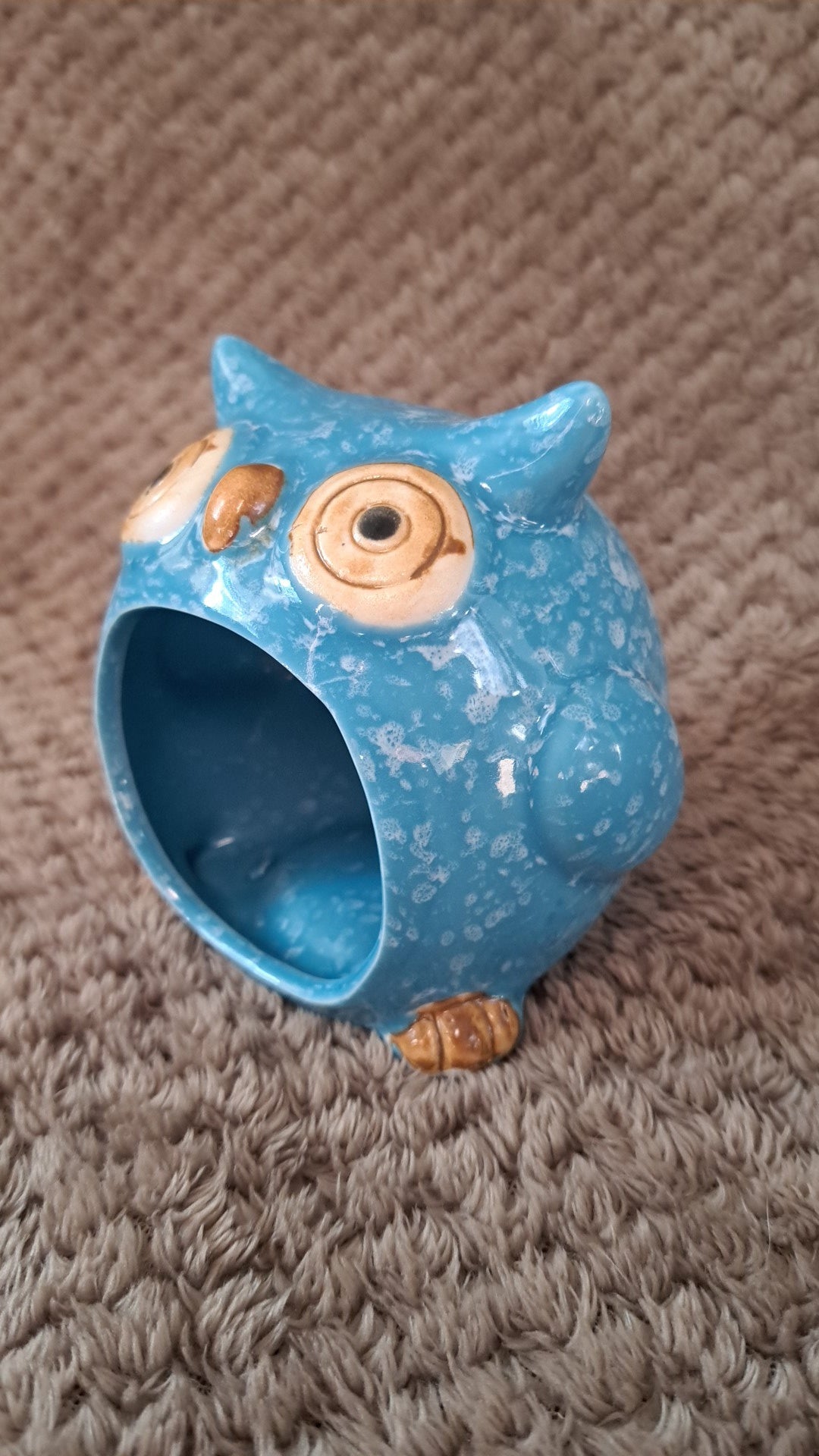 Owl hide