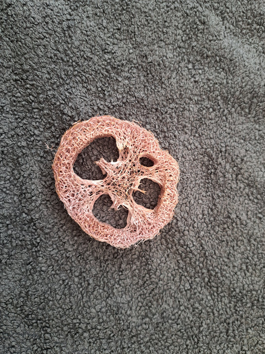 Berry Loofah
