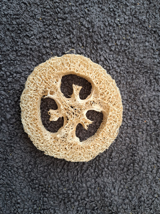 Banana and Carrot Loofah