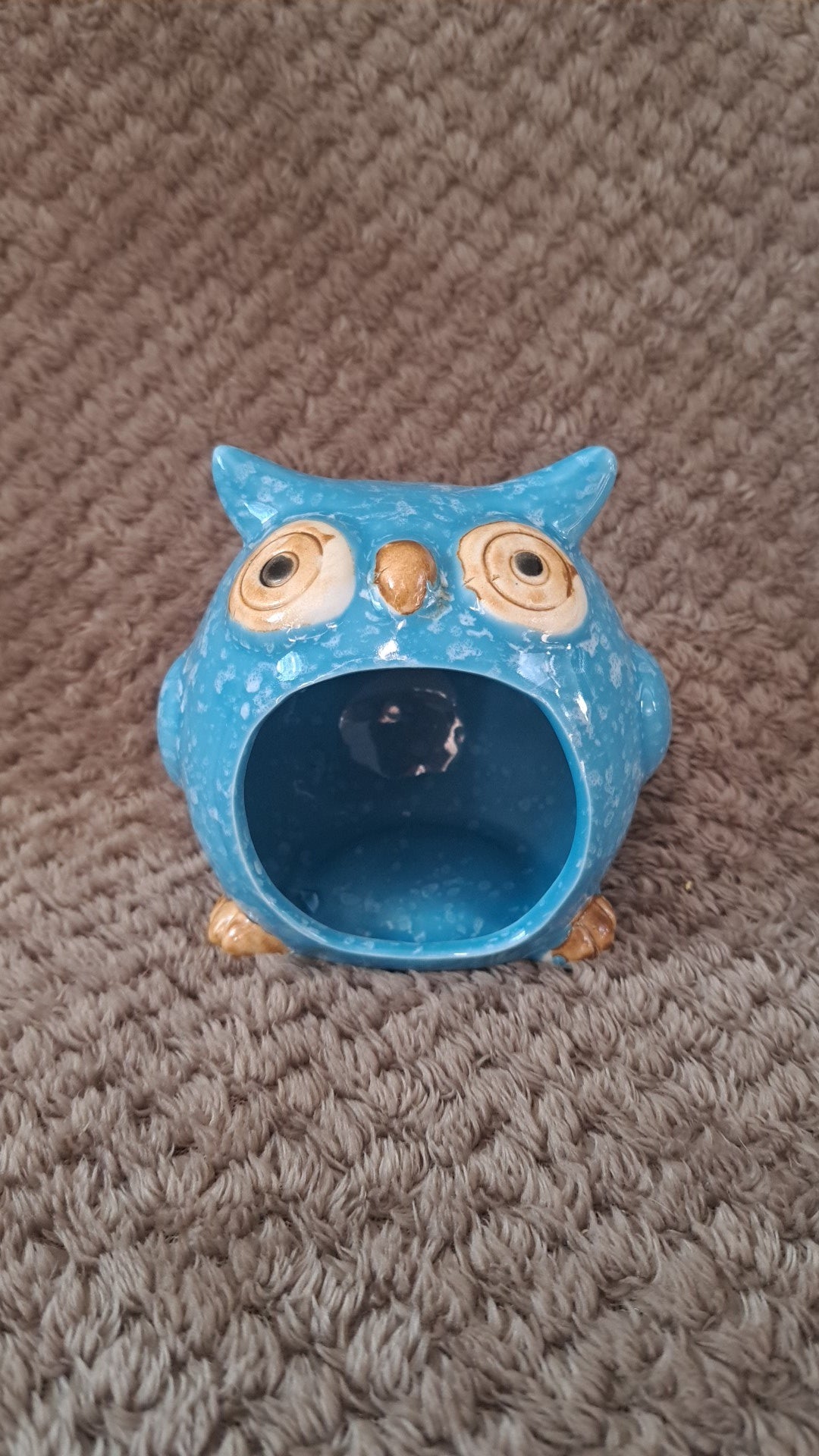 Owl hide