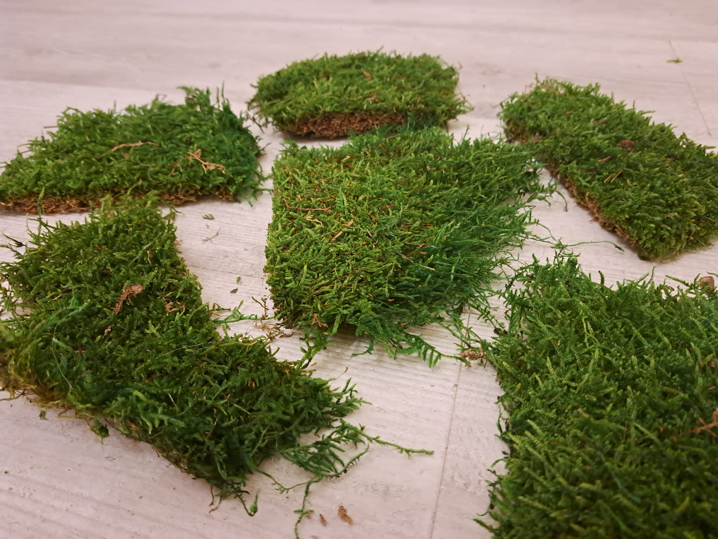 Moss pieces