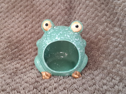 Frog hide
