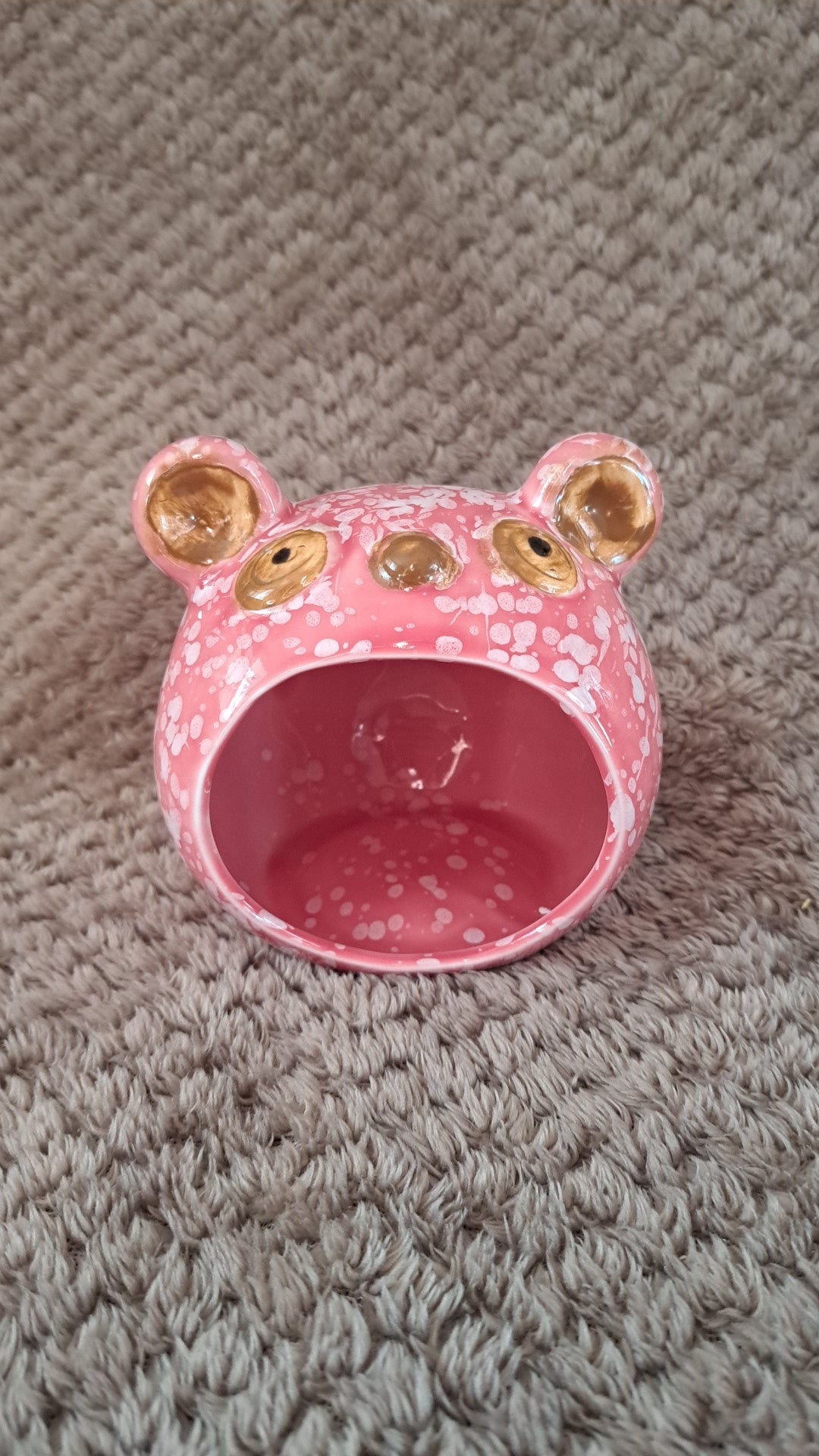 Bear hide