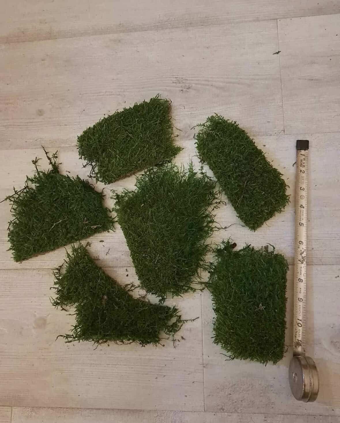 Moss pieces