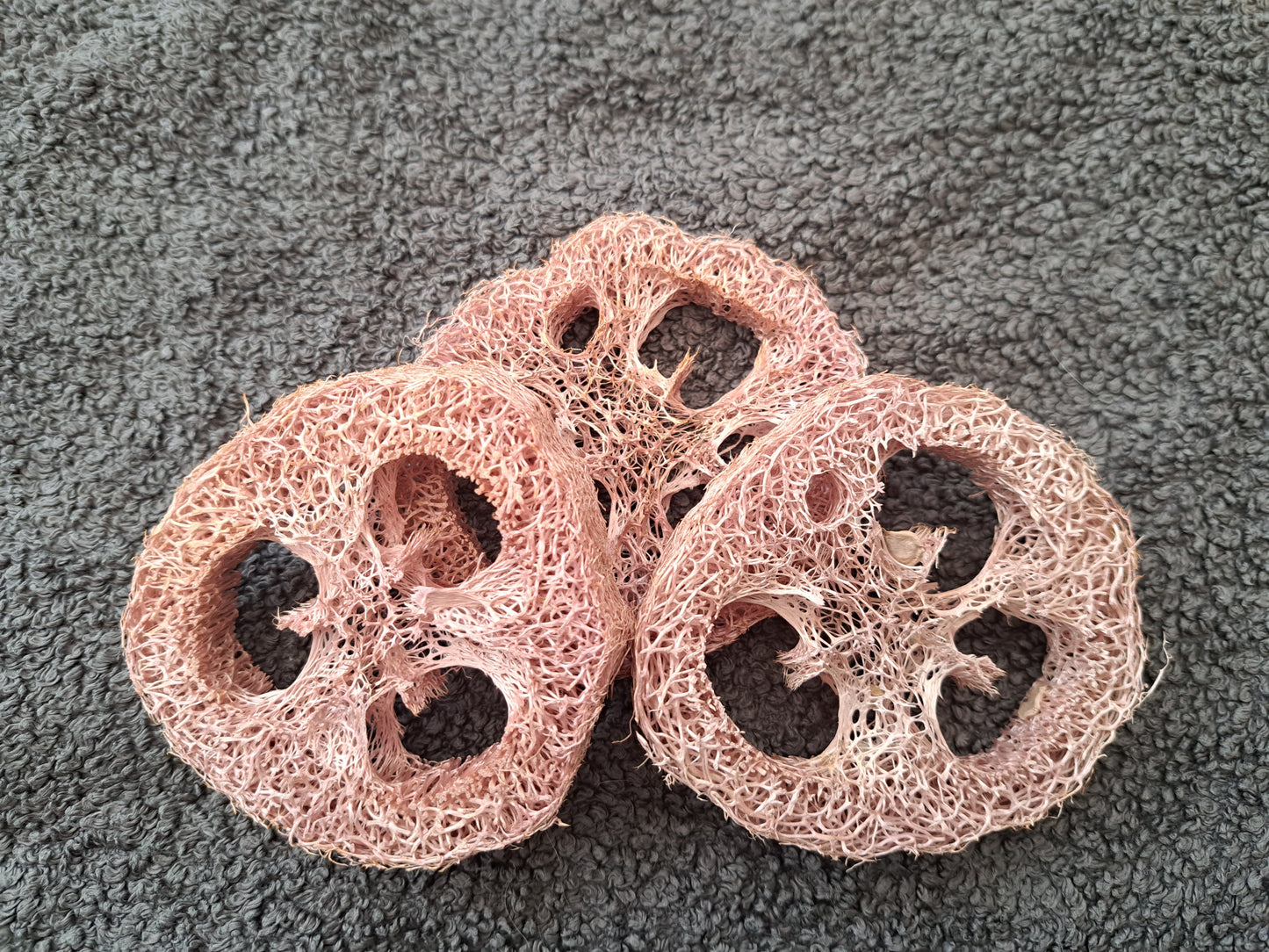 Berry Loofah