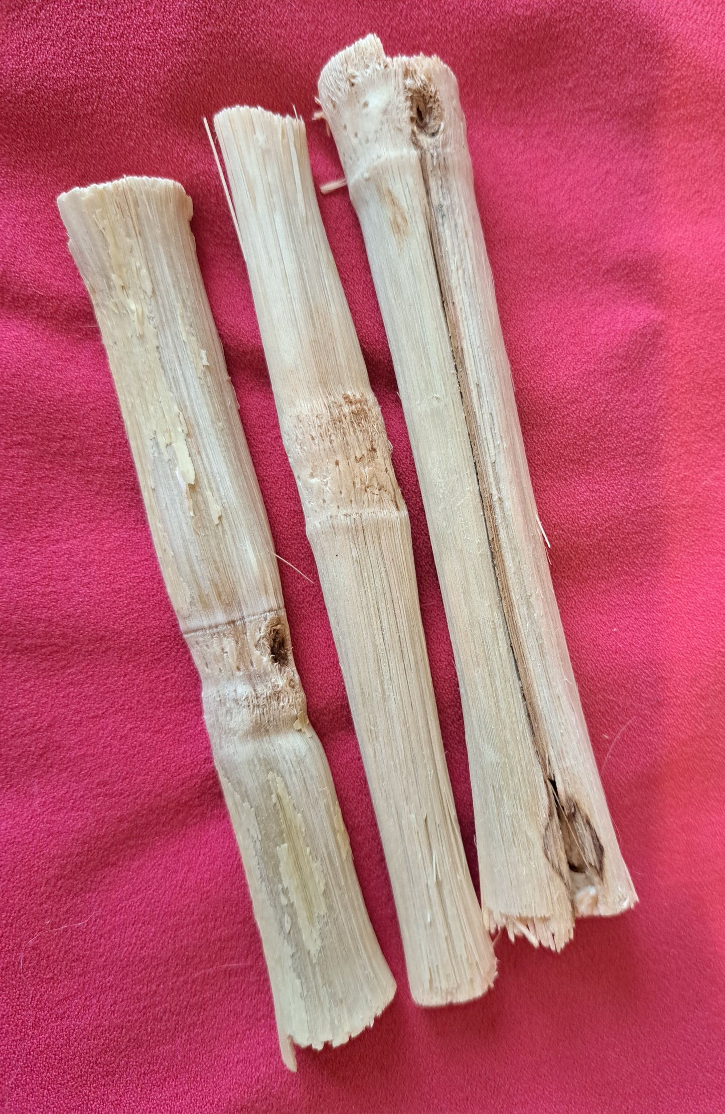 Bamboo Chews