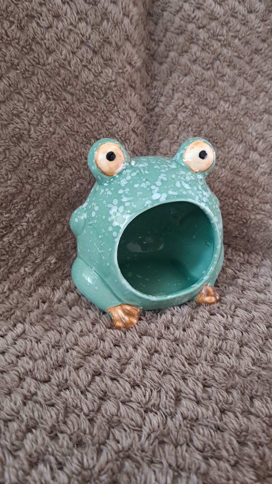 Frog hide