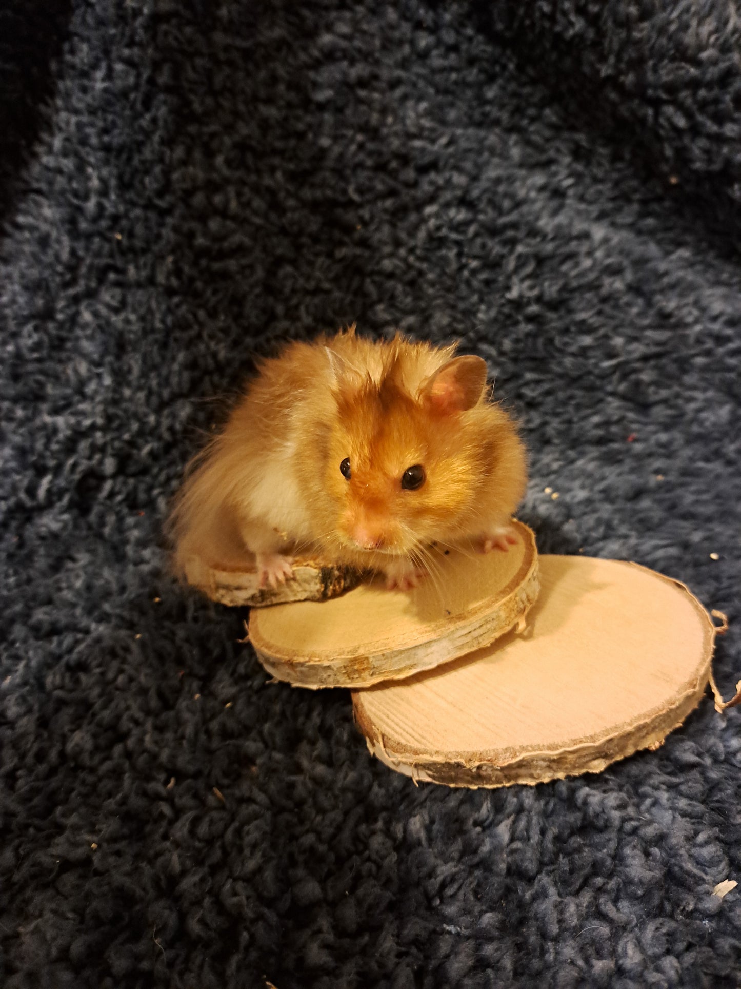 Willow slices