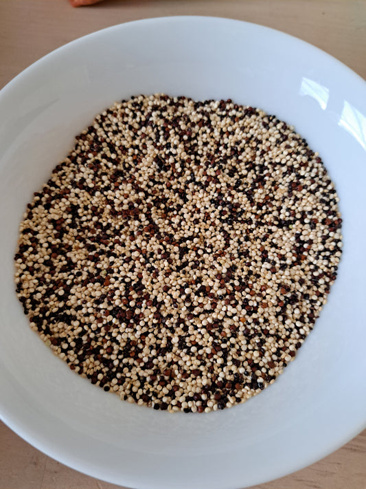 Tri-coloured quinoa